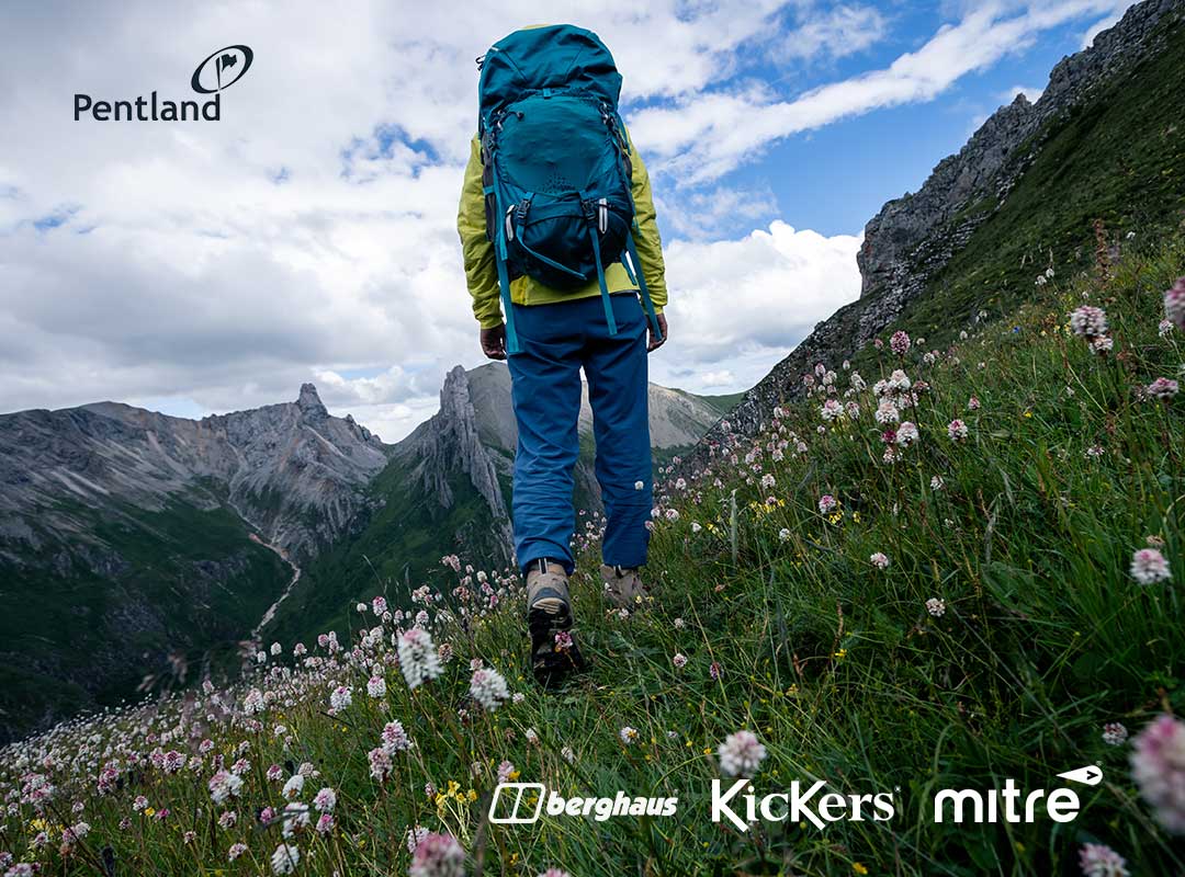 Hiker with backpack walking through scenic mountain trail with wildflowers and rugged peaks in the b.